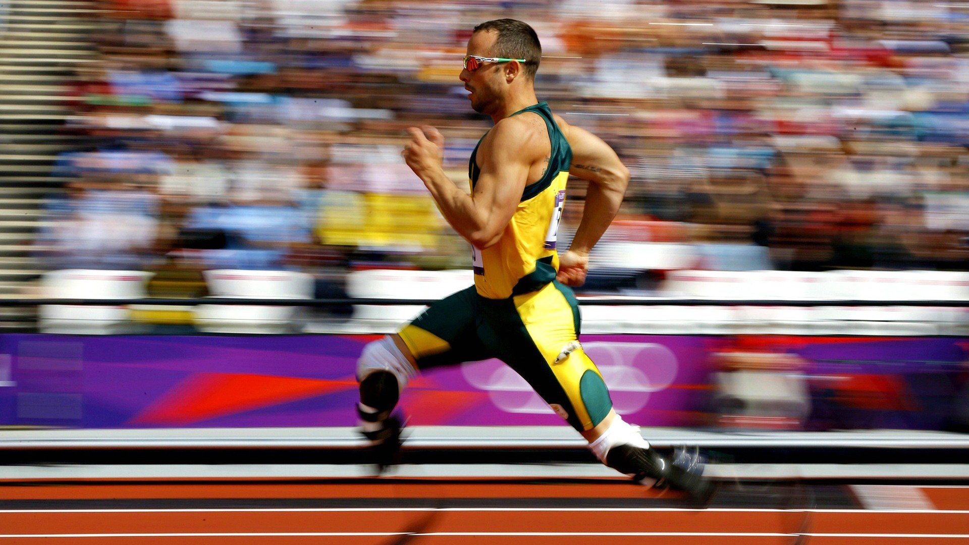 开云官网-体育心理学应用实例，体育心理学应用实例分析