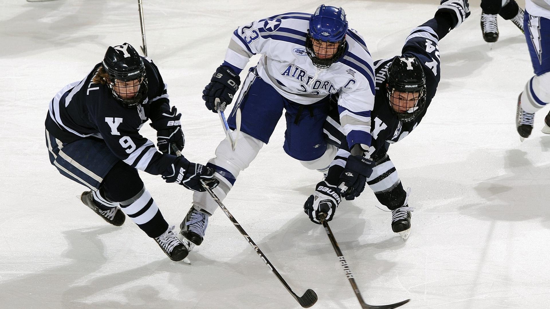 特色风筝巡游运动会，空中艺术盛宴，运动风筝比赛视频